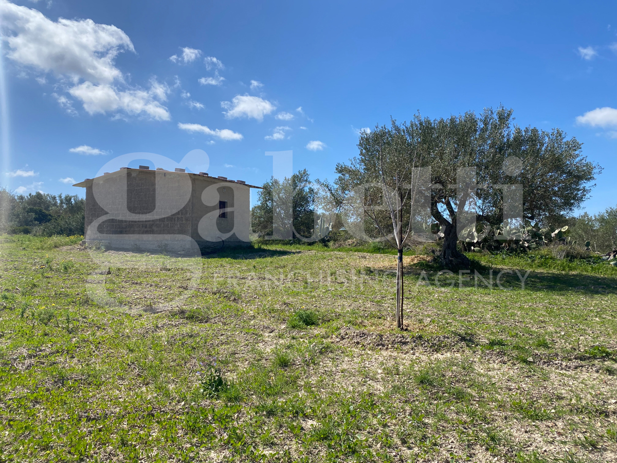 immagine annuncio 9 di 10