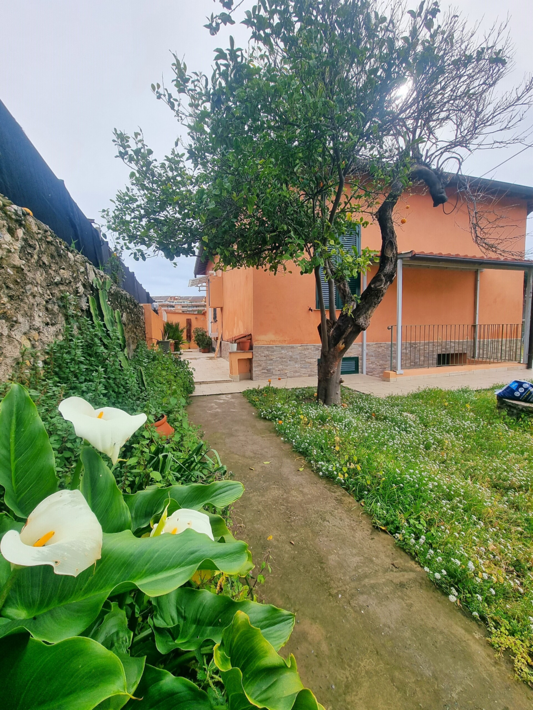 immagine annuncio 5 di 7