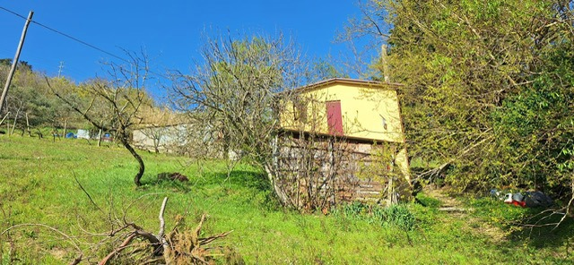 immagine annuncio 2 di 10