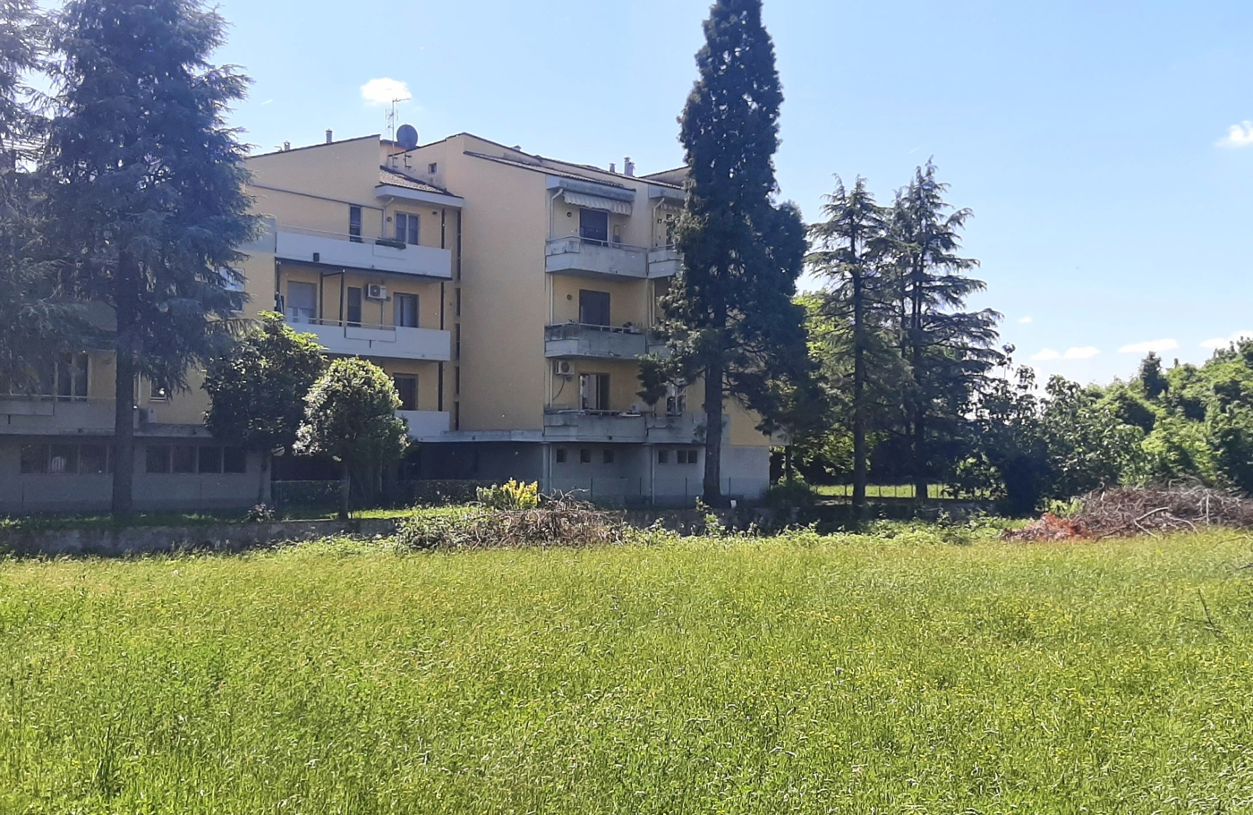 immagine annuncio 6 di 10