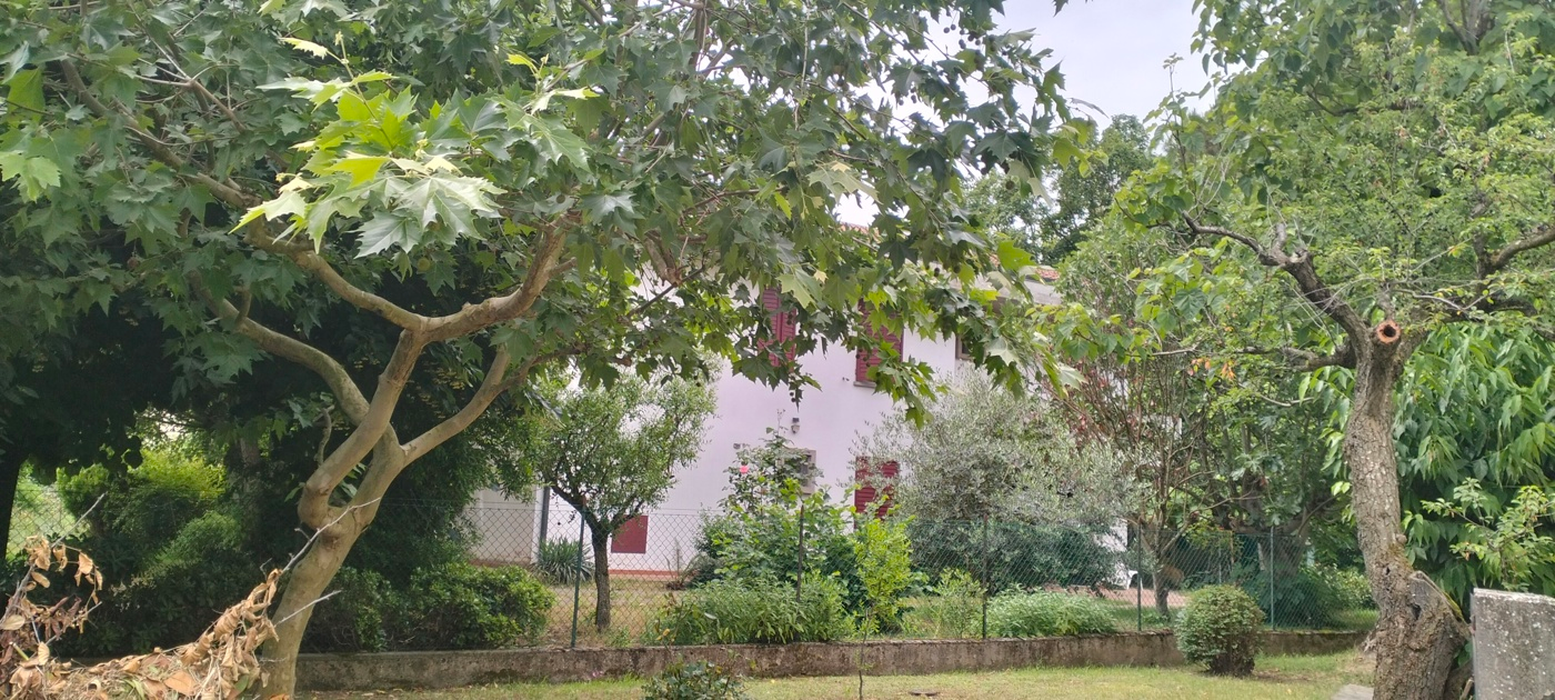 immagine annuncio 2 di 8