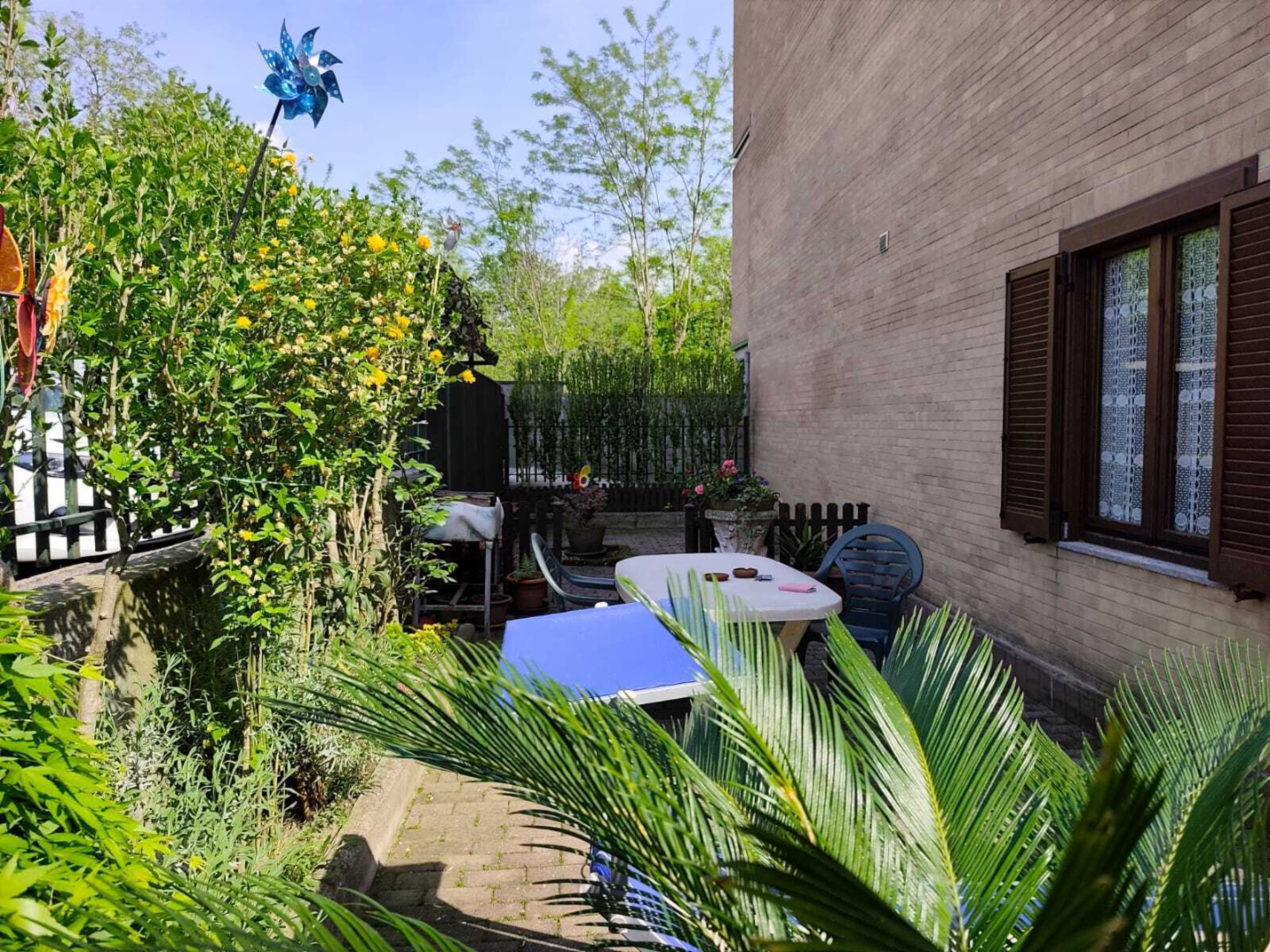 immagine annuncio 6 di 10