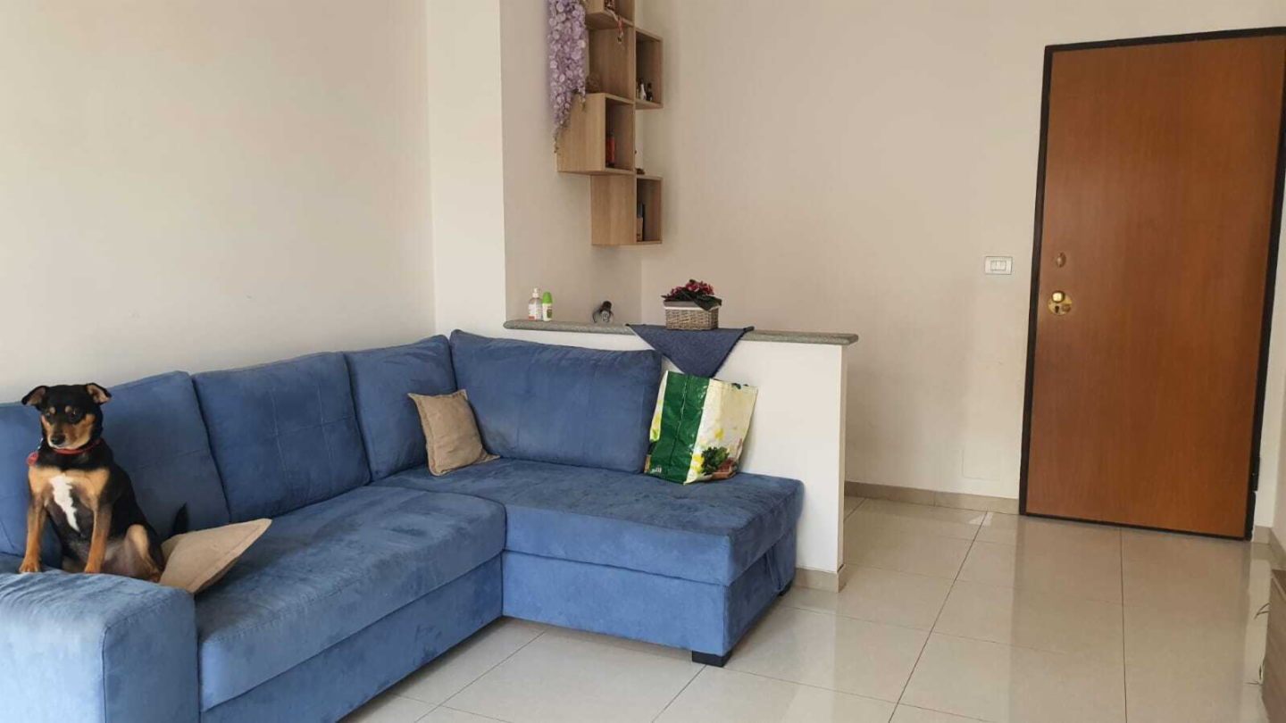 immagine annuncio 3 di 10