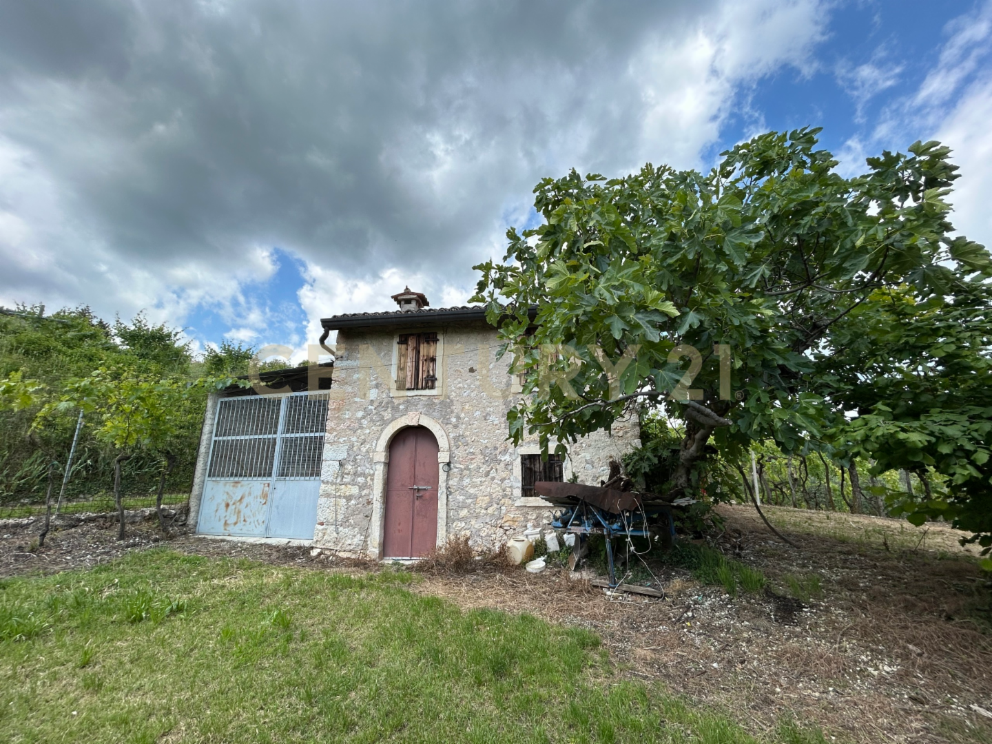 immagine annuncio 5 di 10