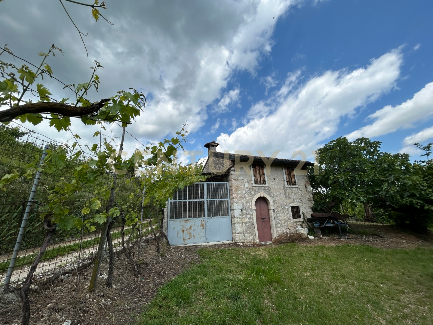 immagine annuncio 6 di 10