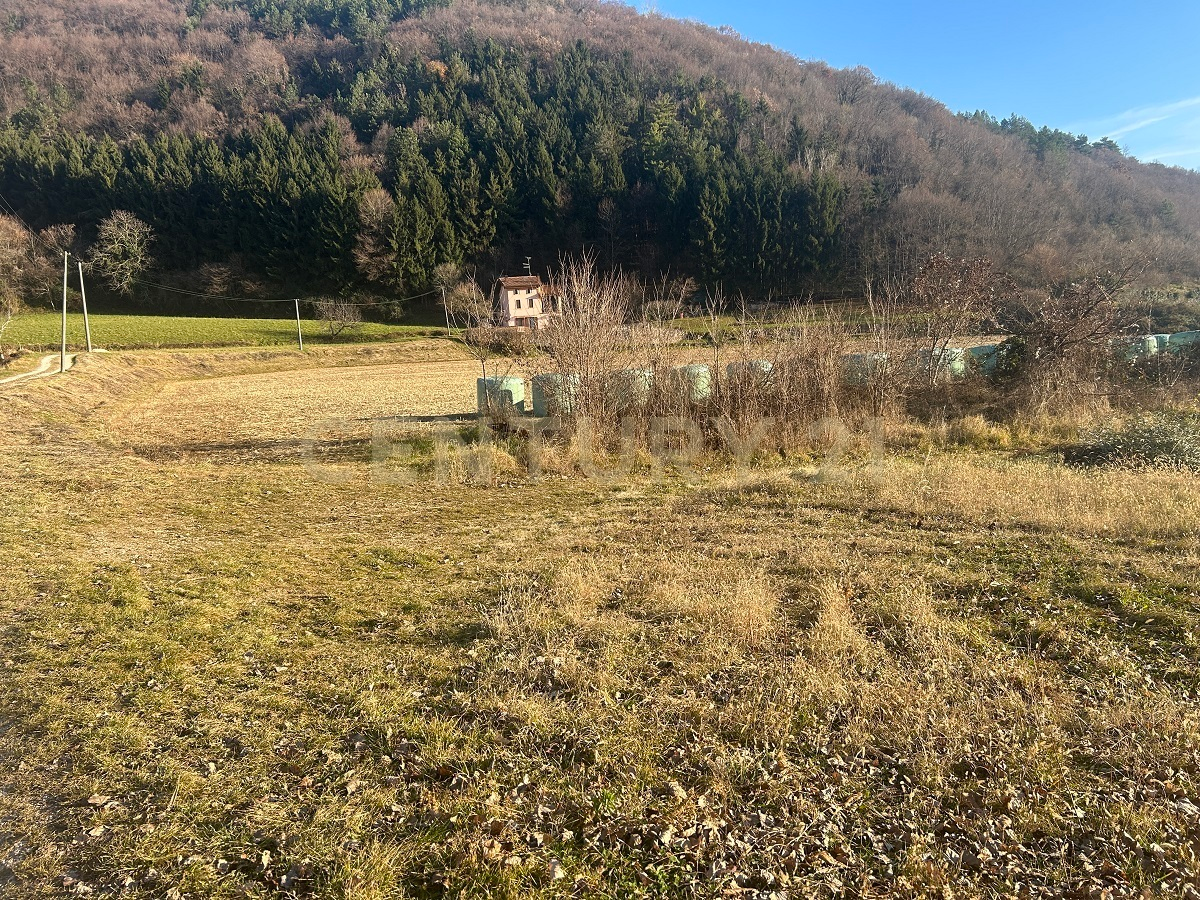 casa indipendente in vendita a Tregnago in zona Cogollo