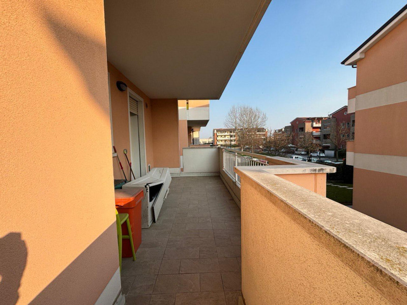 immagine annuncio 4 di 8