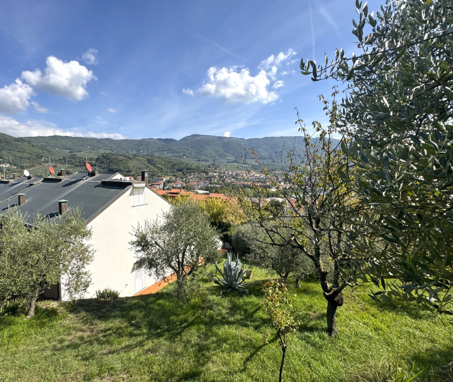 immagine annuncio 9 di 10