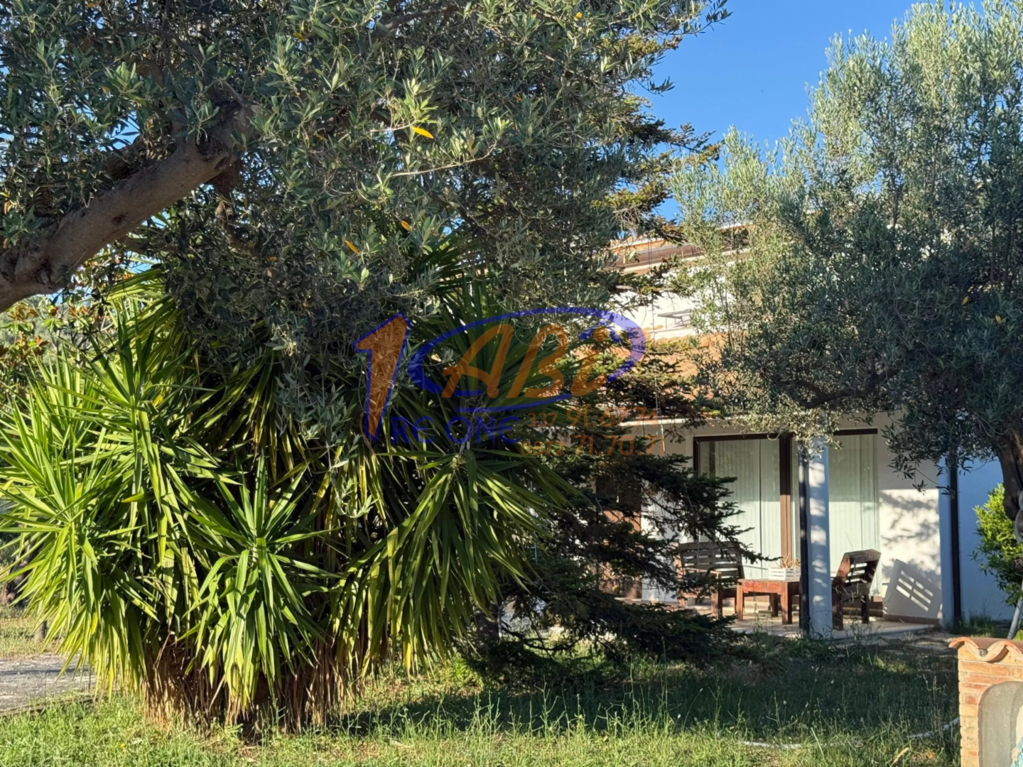 immagine annuncio 1 di 10