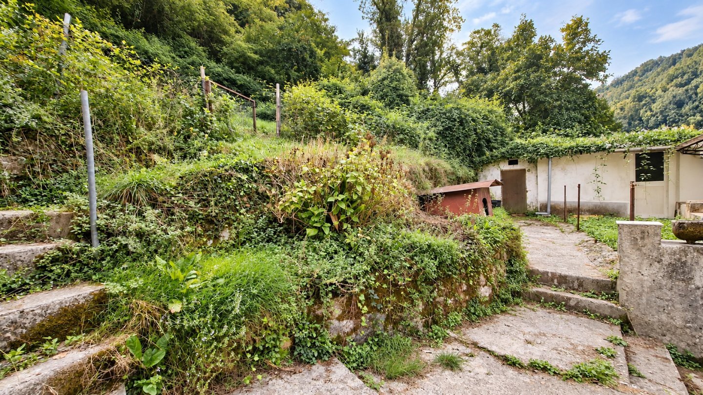 immagine annuncio 5 di 10