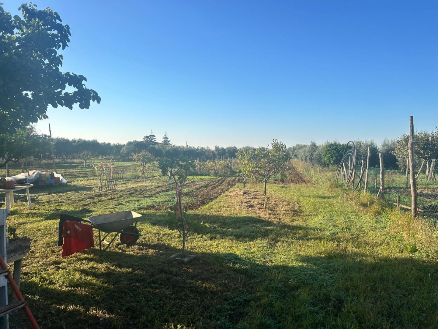 immagine annuncio 4 di 8