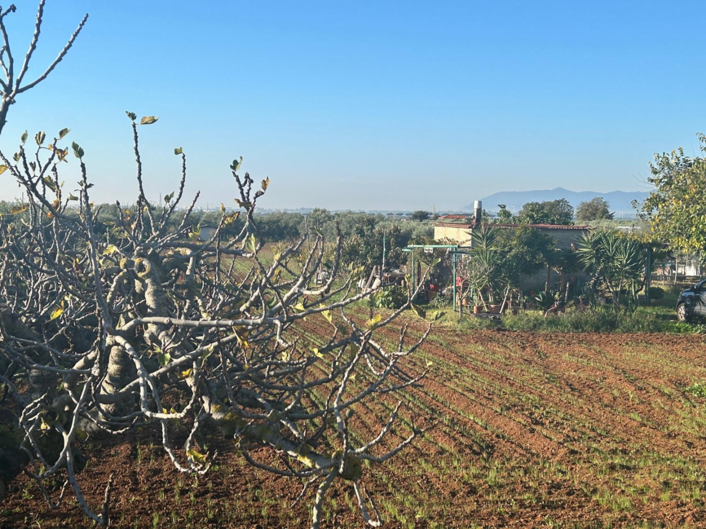 immagine annuncio 7 di 8