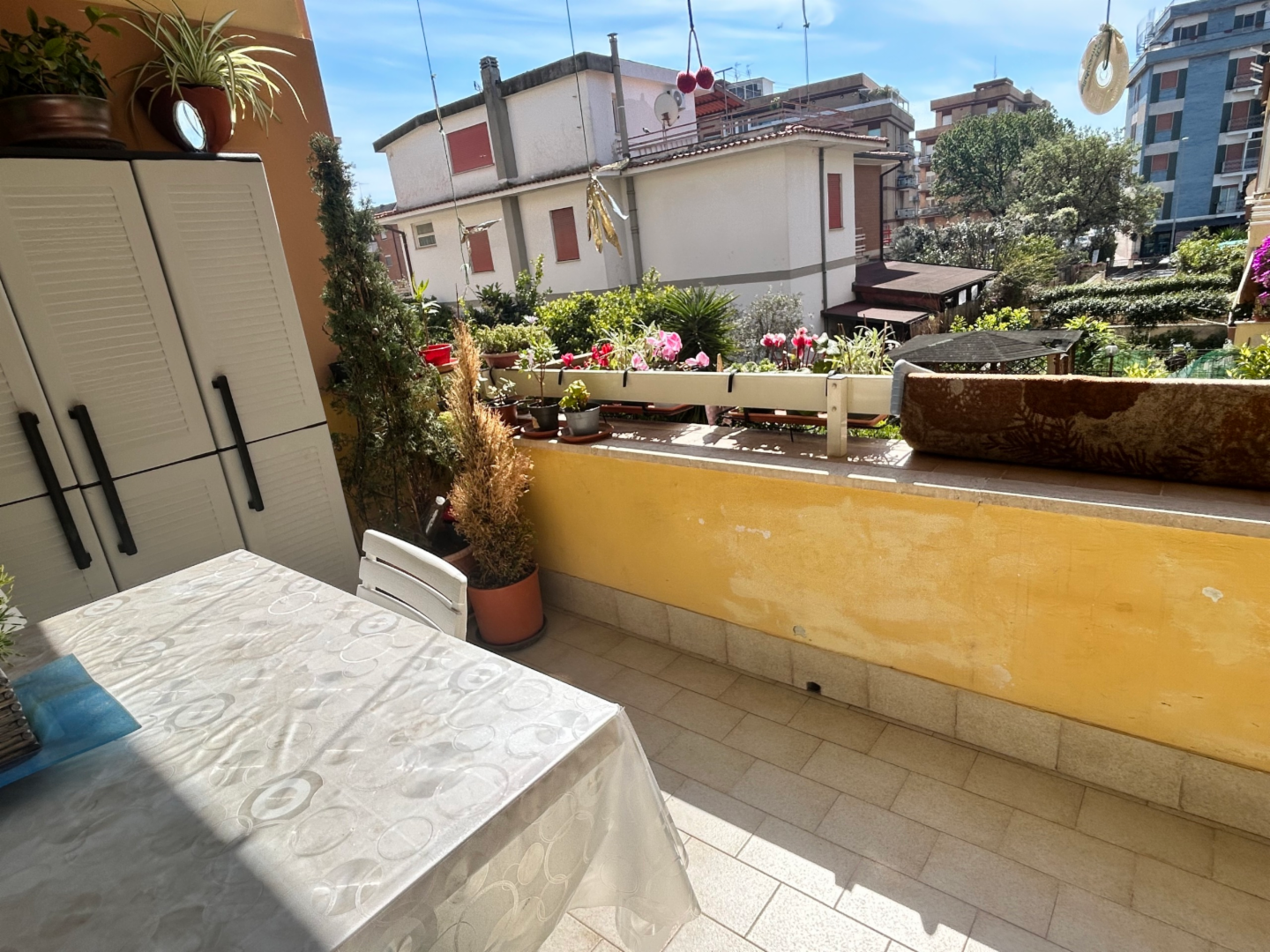 immagine annuncio 6 di 10