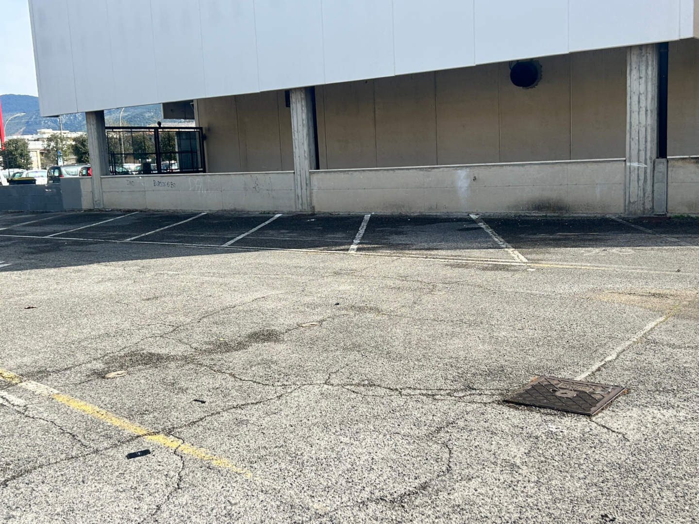 immagine annuncio 3 di 4