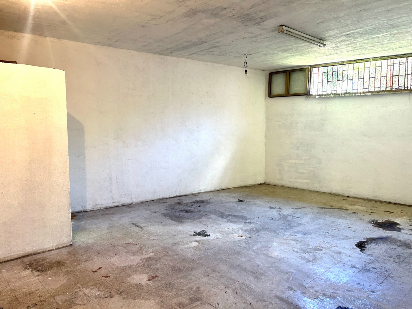 immagine annuncio 3 di 8