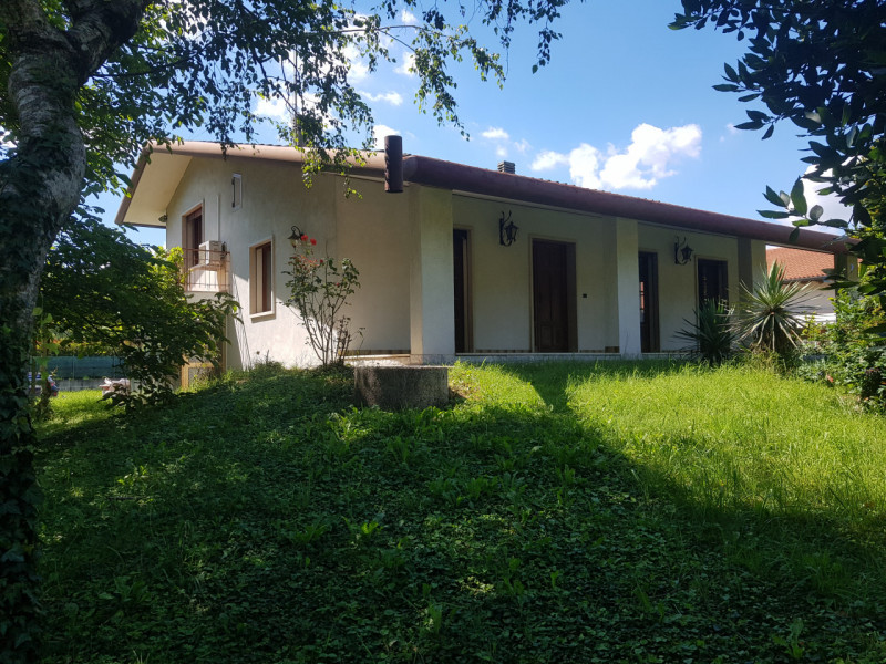 immagine annuncio 2 di 7