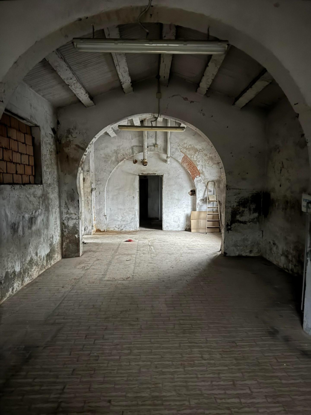 immagine annuncio 2 di 3