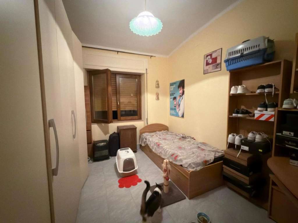 immagine annuncio 5 di 8