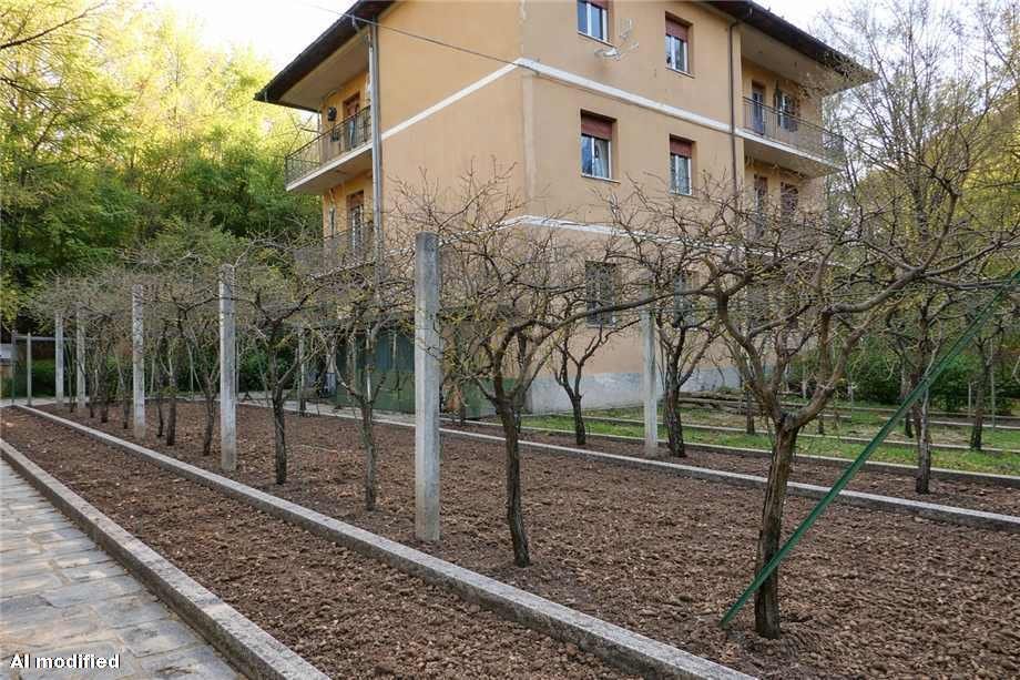 immagine annuncio 1 di 10