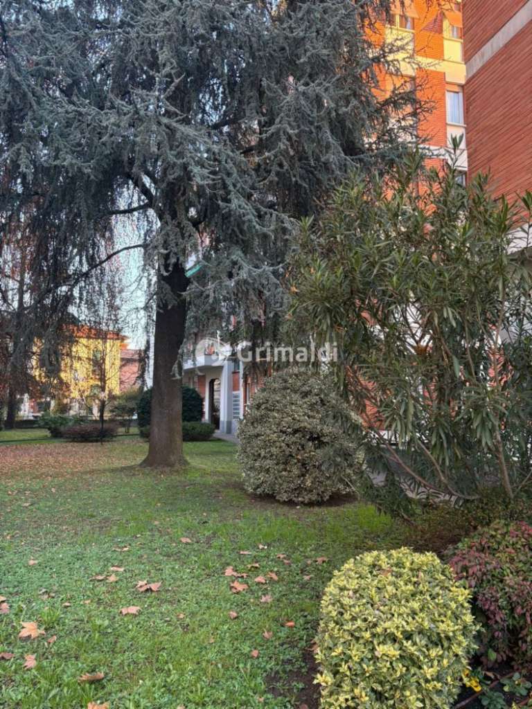 immagine annuncio 6 di 9