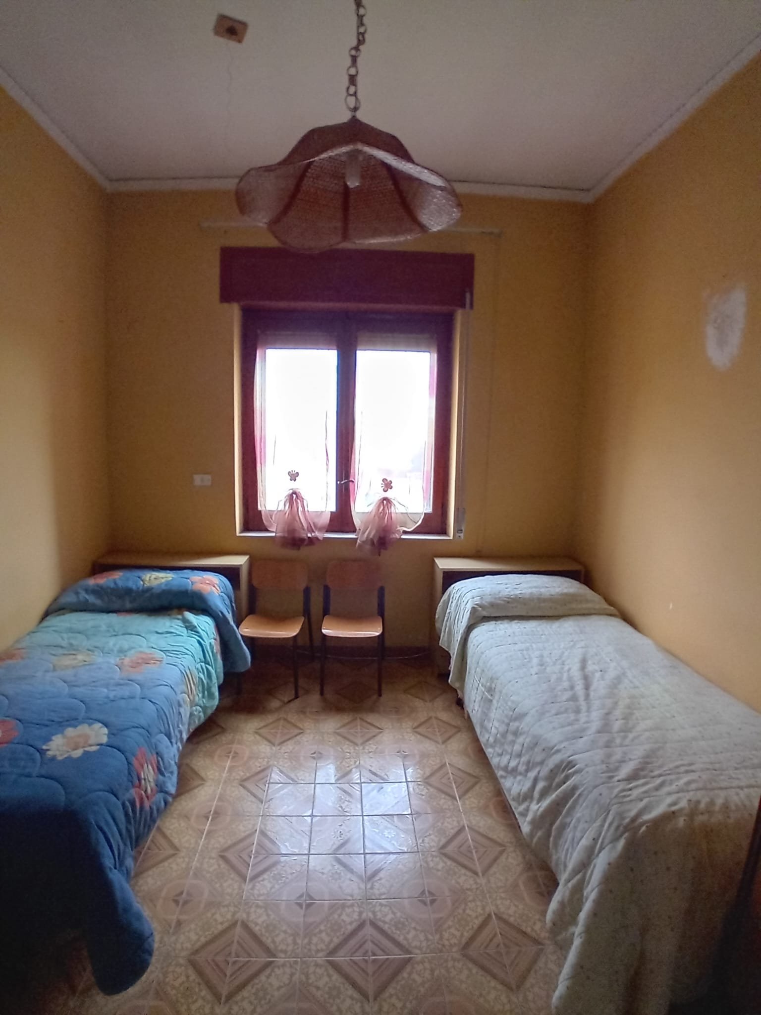 immagine annuncio 3 di 6