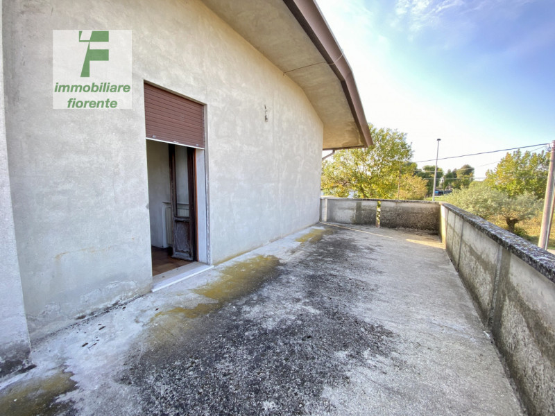 immagine annuncio 7 di 9