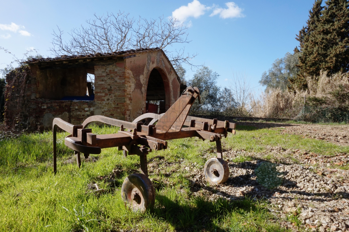 immagine annuncio 3 di 10