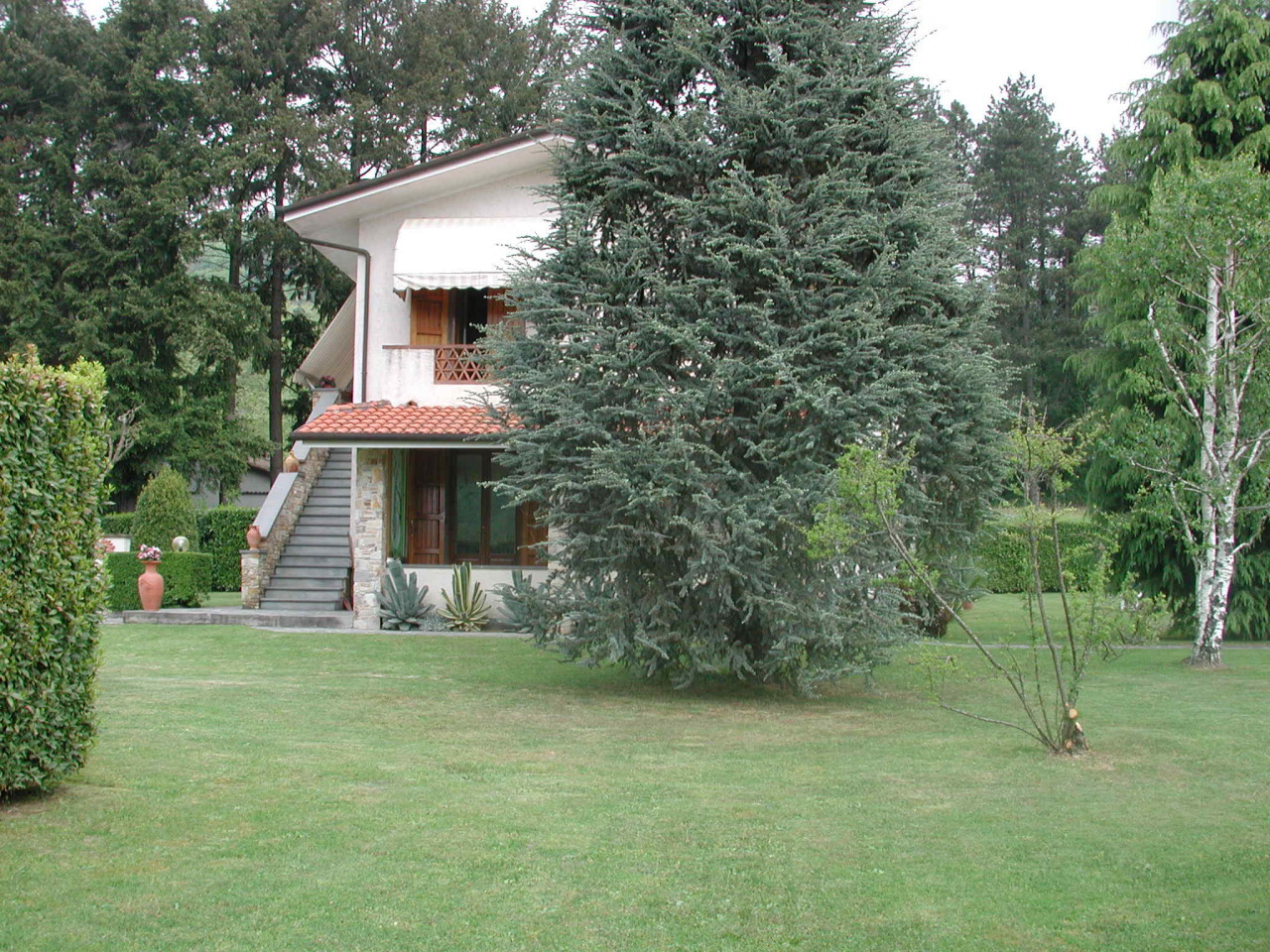 immagine annuncio 4 di 10