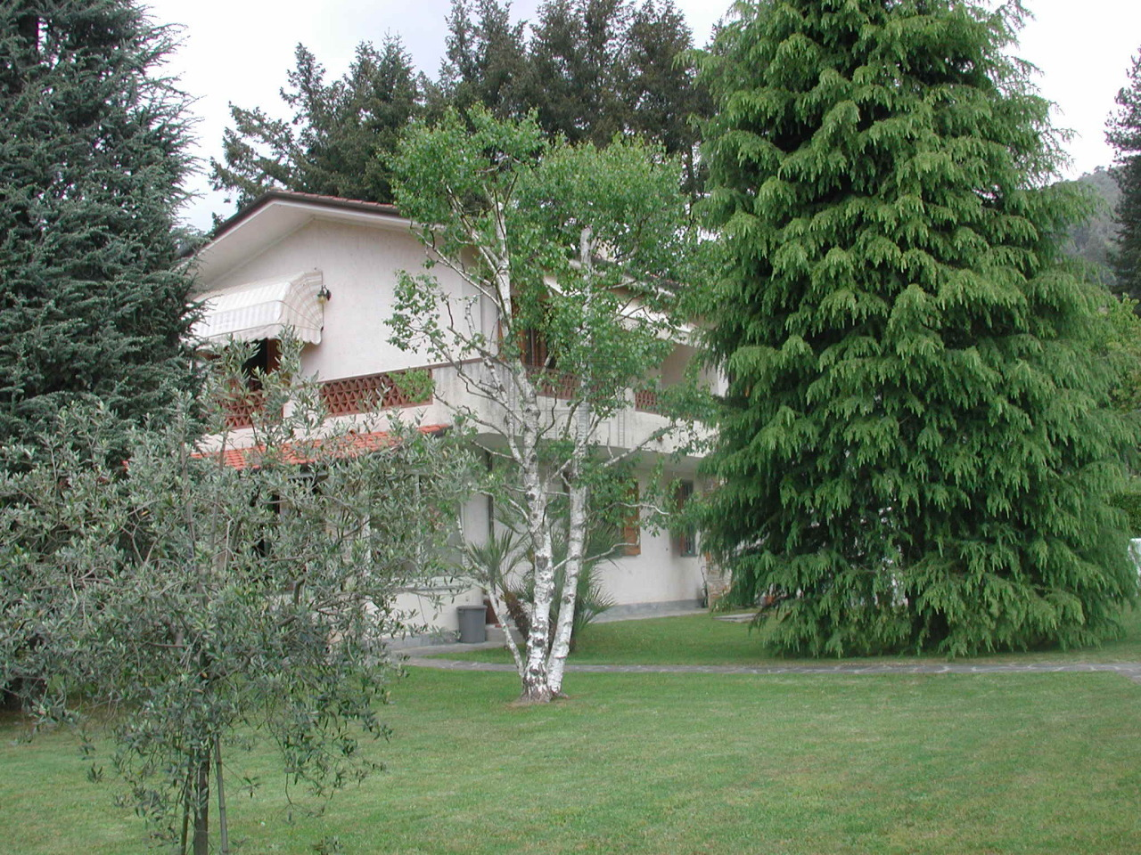 immagine annuncio 3 di 10