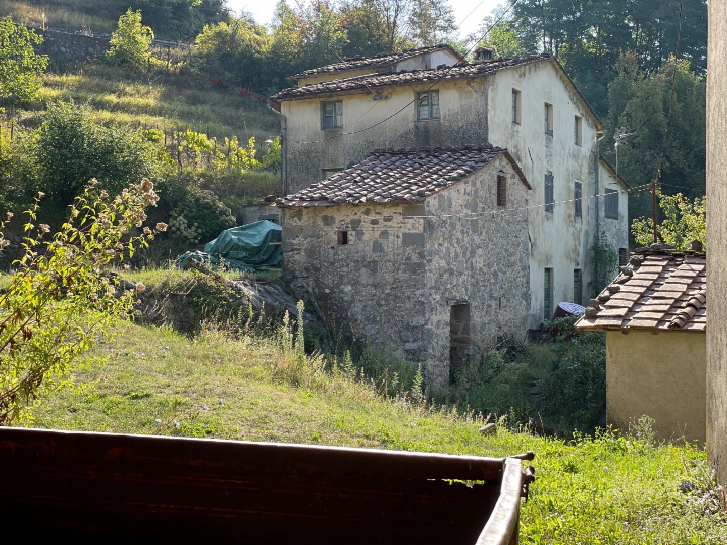 immagine annuncio 3 di 10