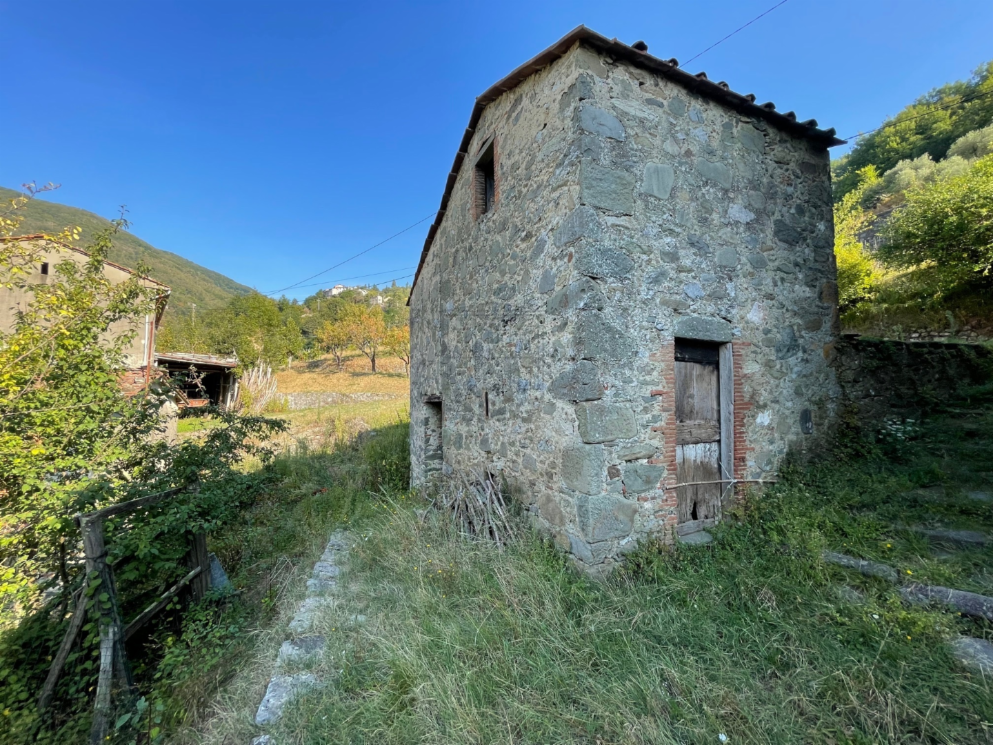 immagine annuncio 5 di 10