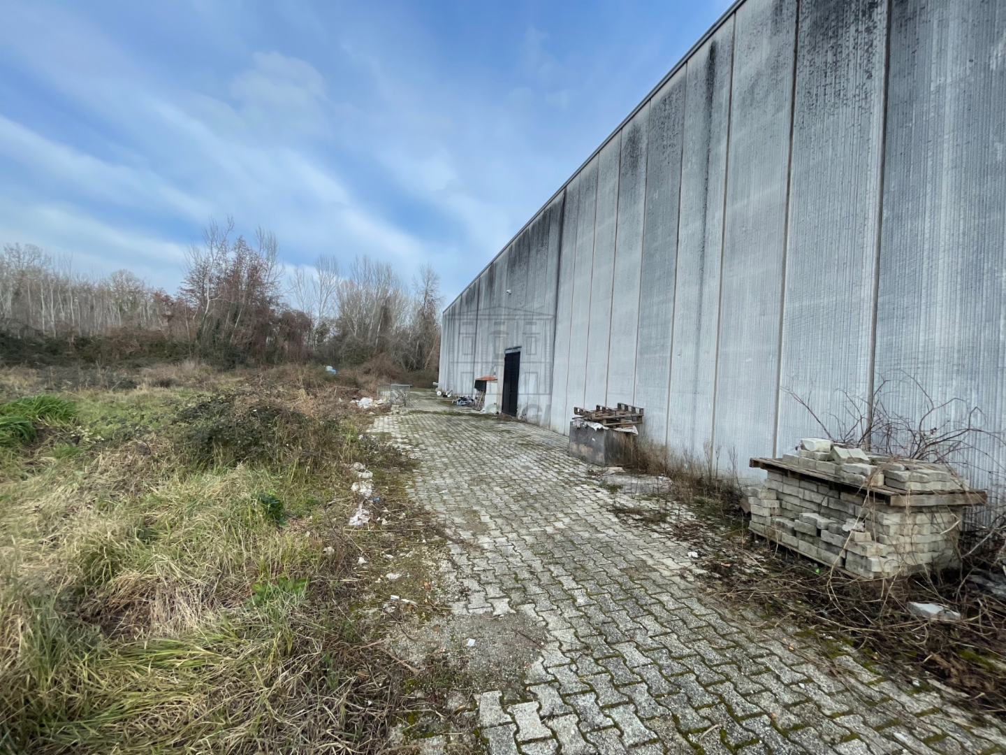 immagine annuncio 2 di 4