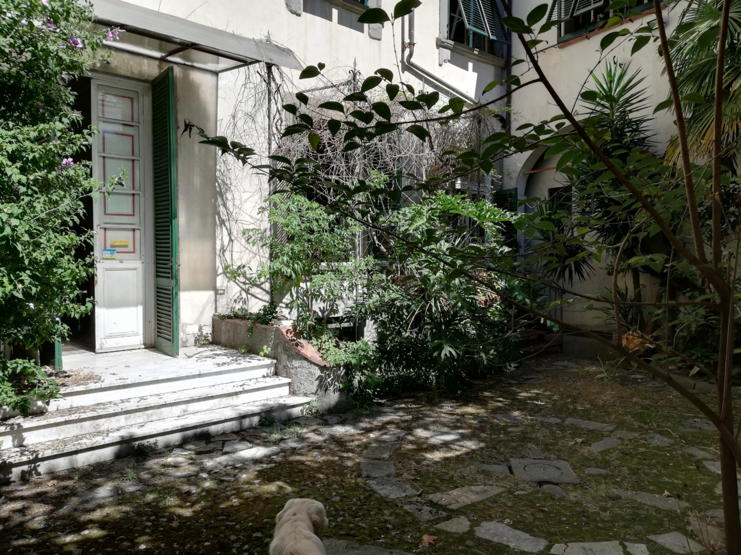 immagine annuncio 5 di 10
