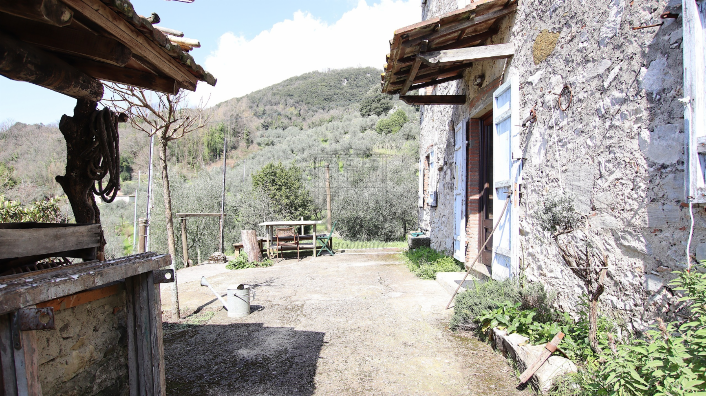 immagine annuncio 3 di 10