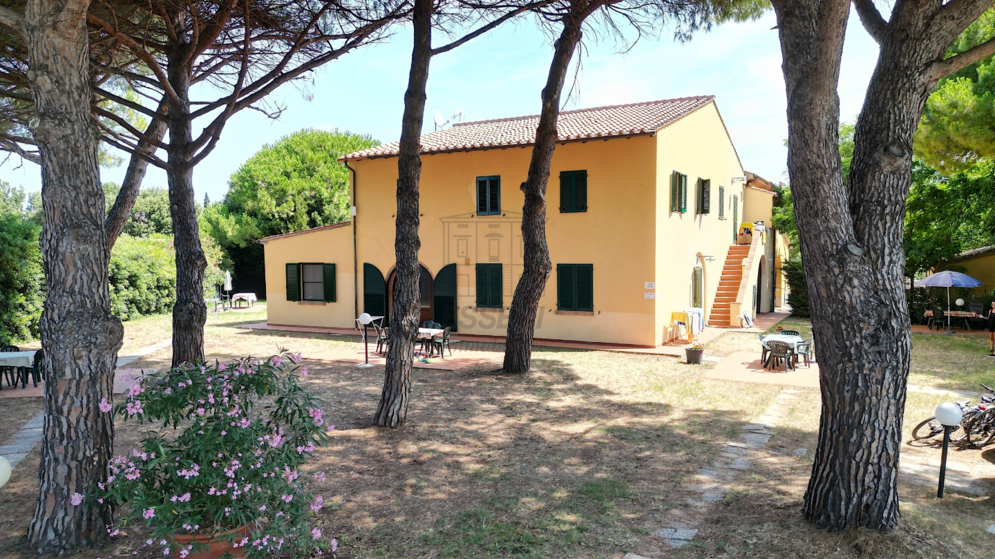 immagine annuncio 1 di 9