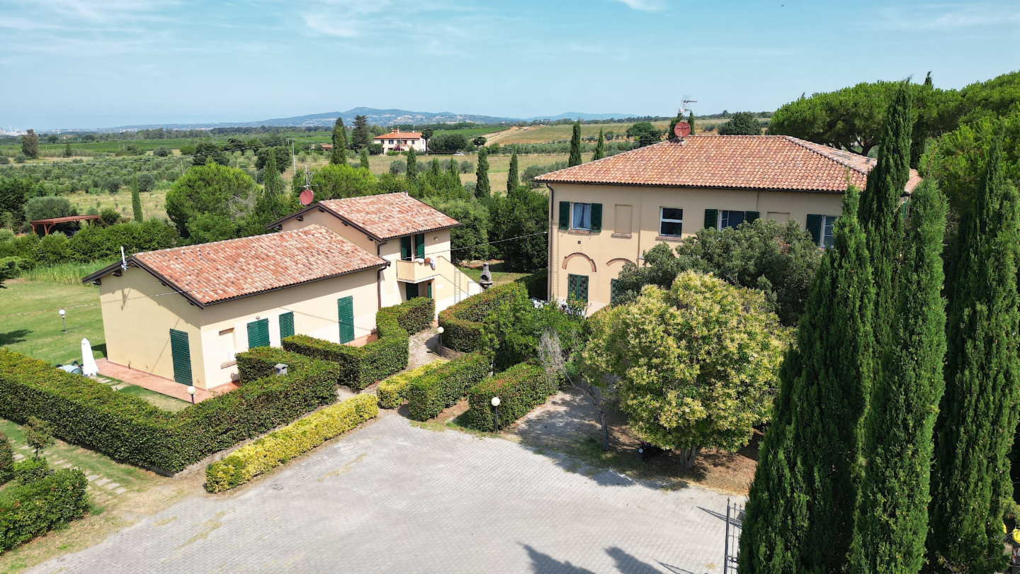 immagine annuncio 6 di 10