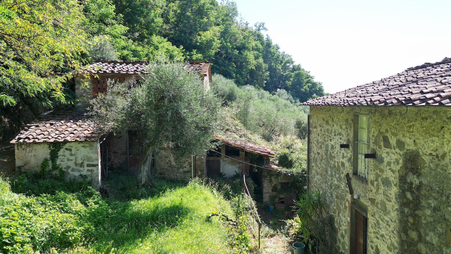 immagine annuncio 4 di 10