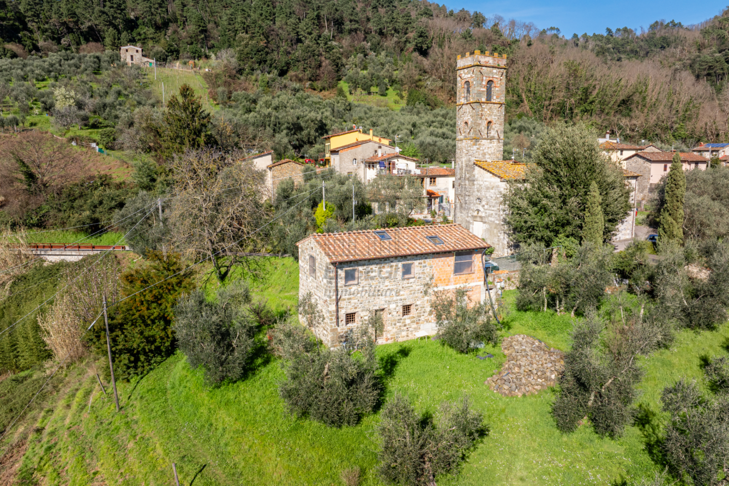 immagine annuncio 1 di 10