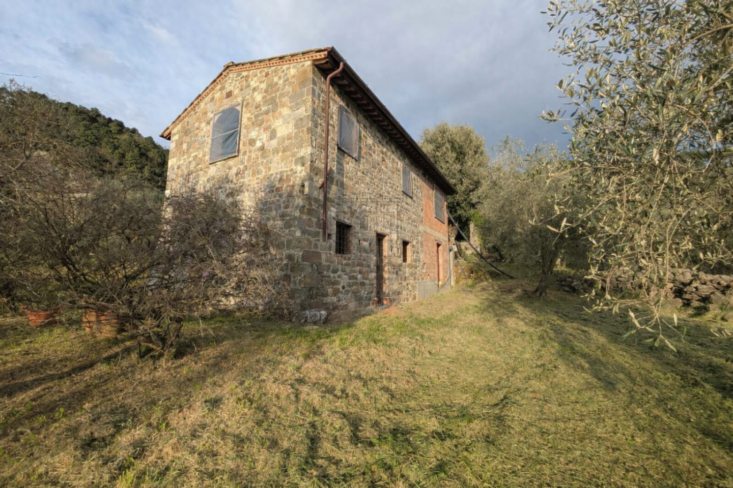 immagine annuncio 8 di 10