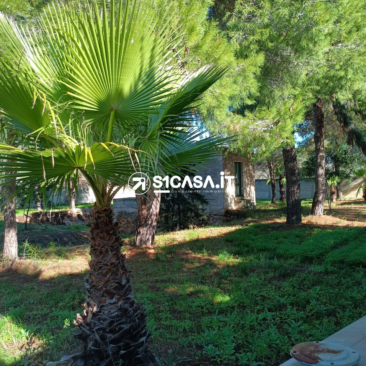 terreno agricolo in vendita a Galatone