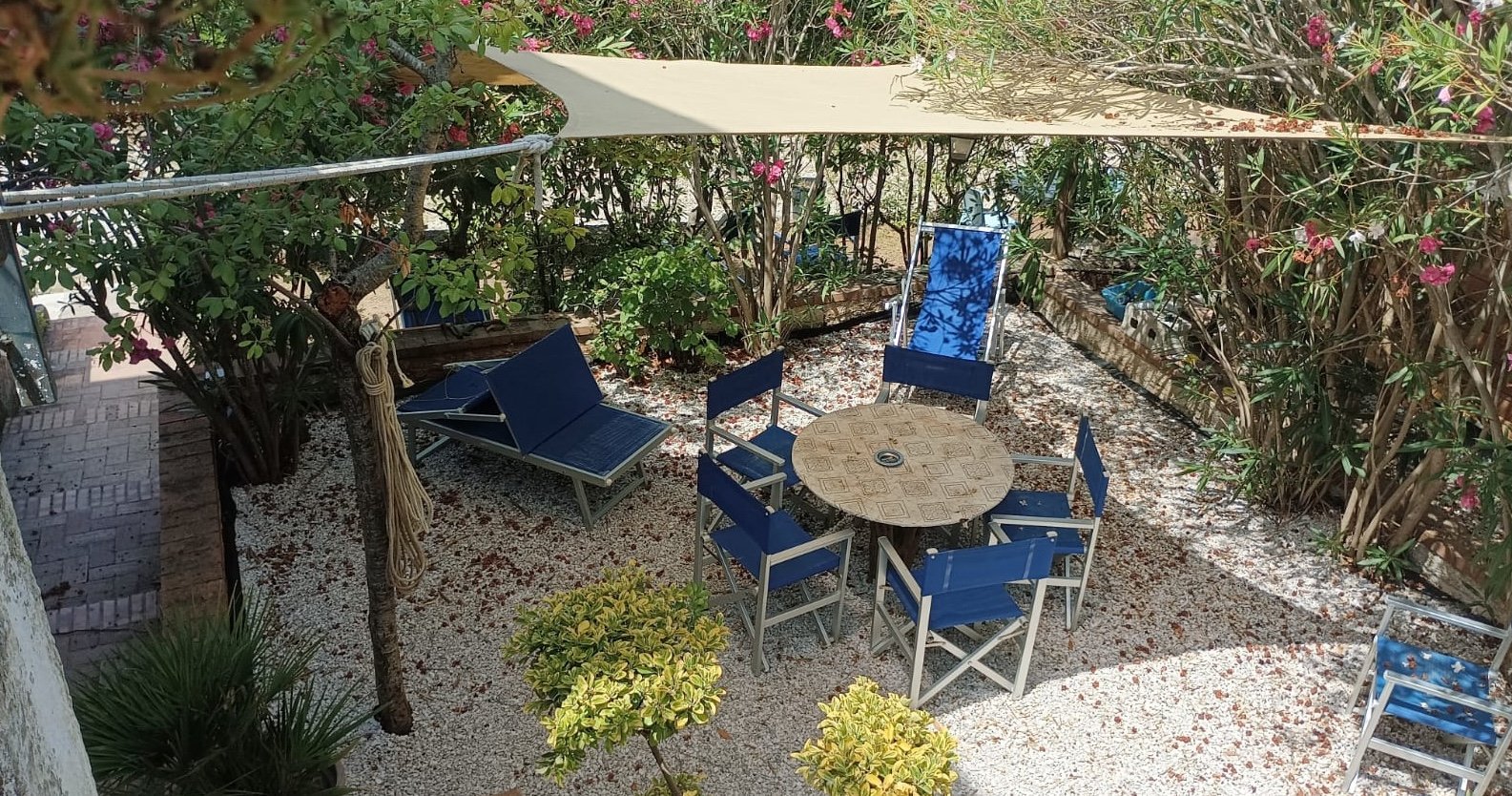 immagine annuncio 5 di 10