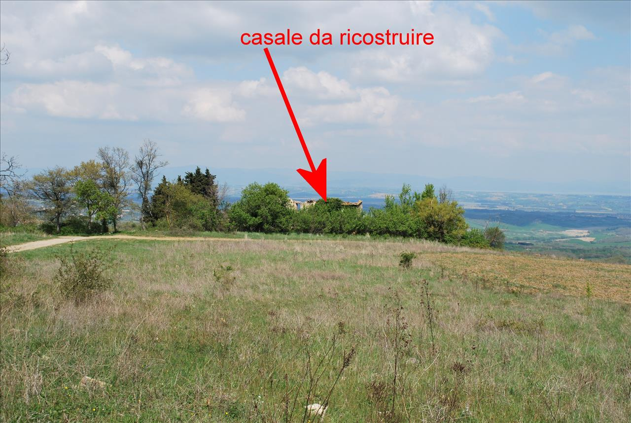 immagine annuncio 3 di 9