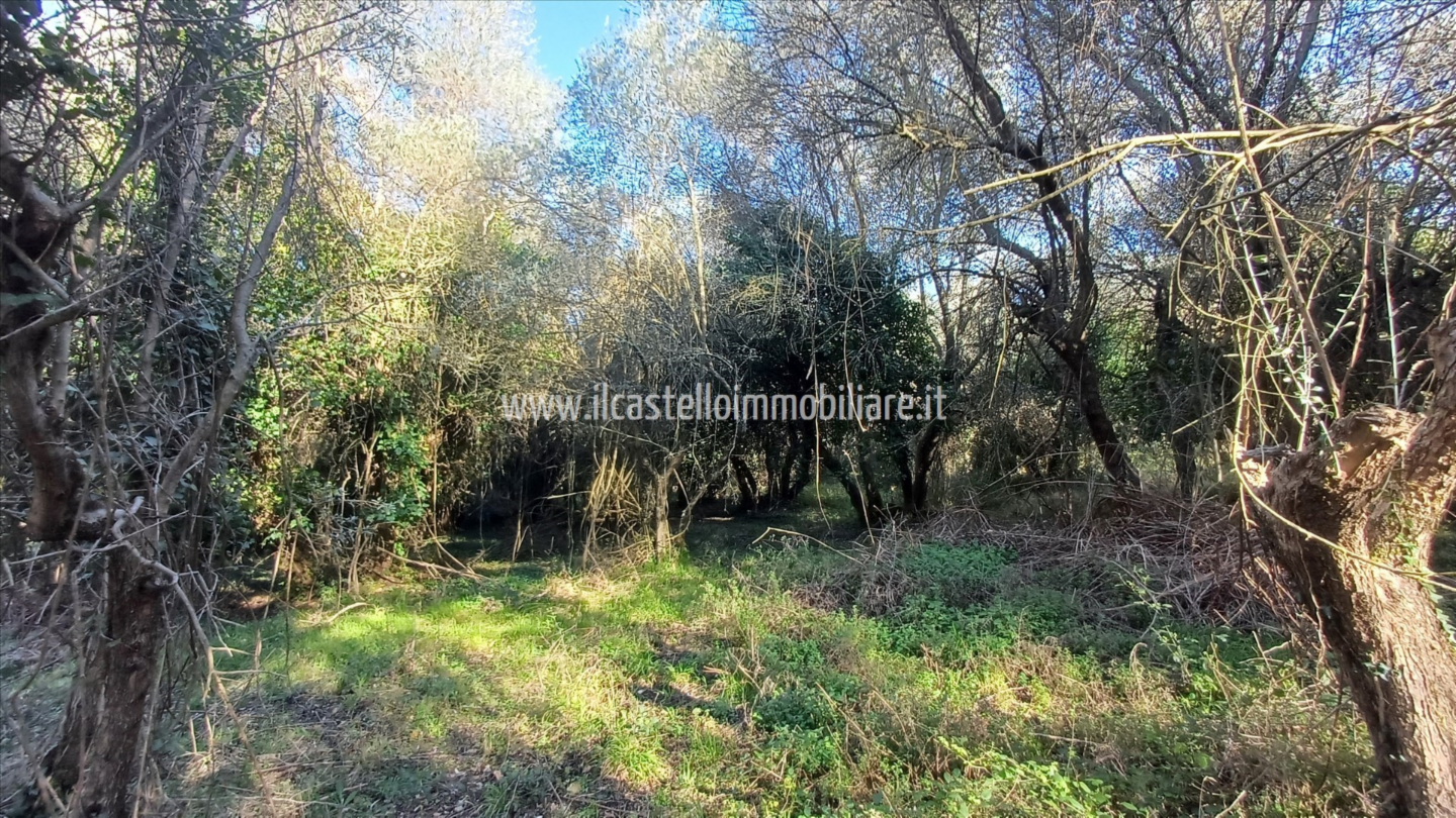 immagine annuncio 6 di 7