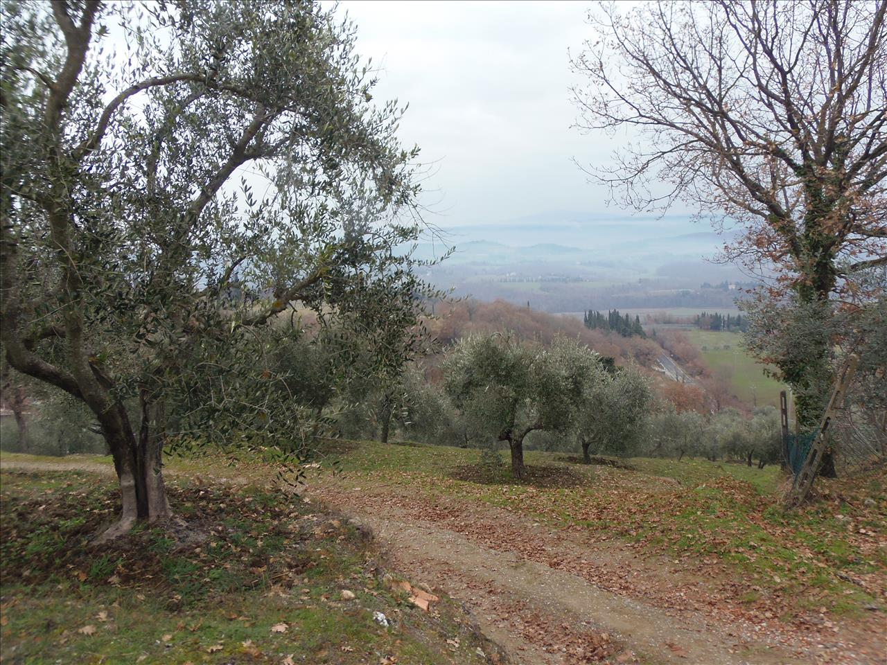 immagine annuncio 4 di 9