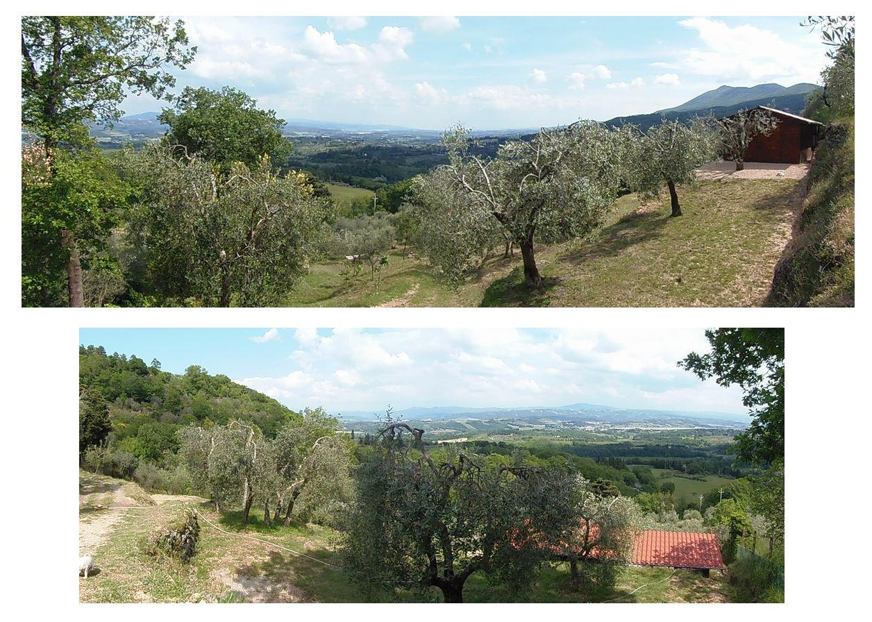 immagine annuncio 7 di 9