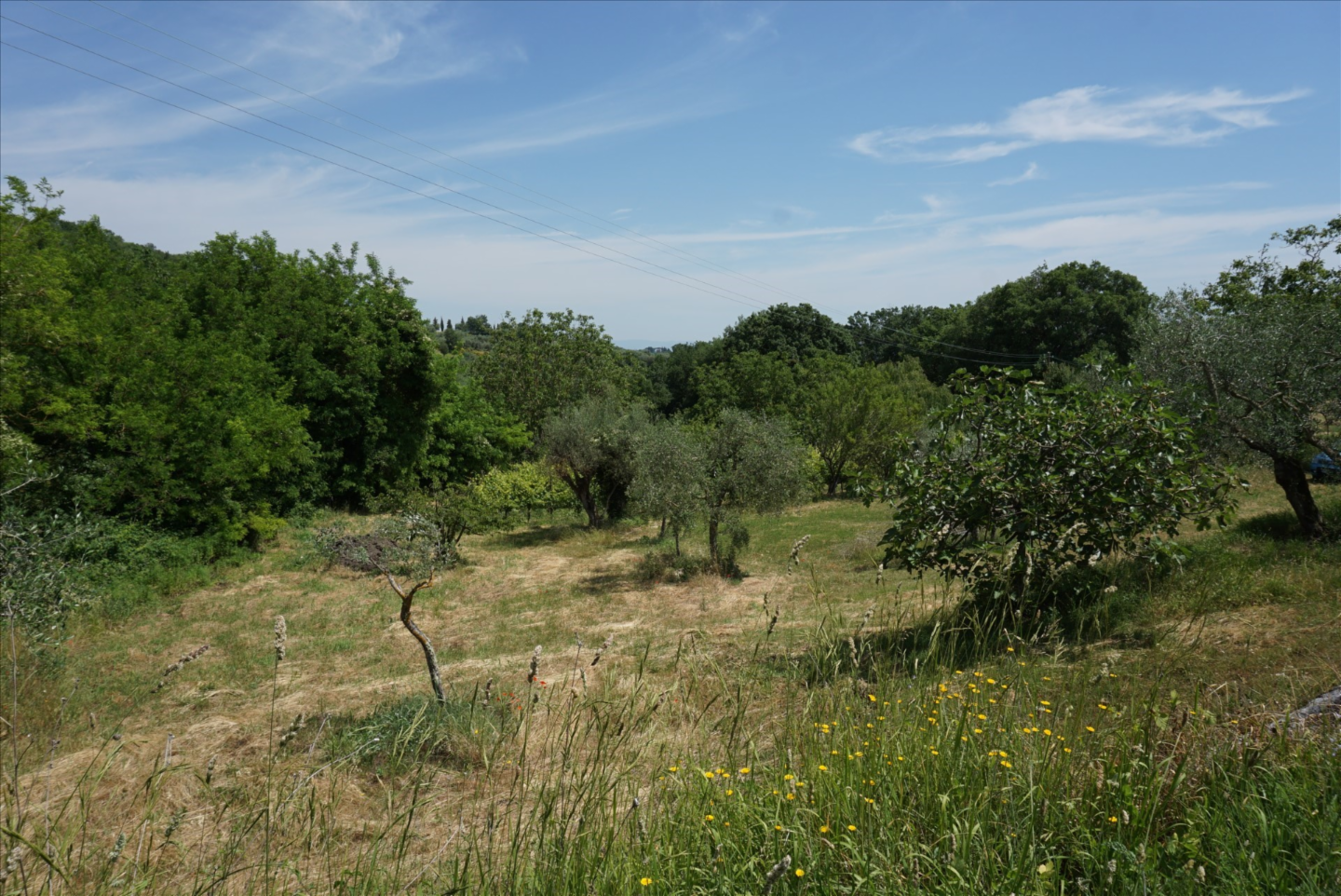 immagine annuncio 5 di 9