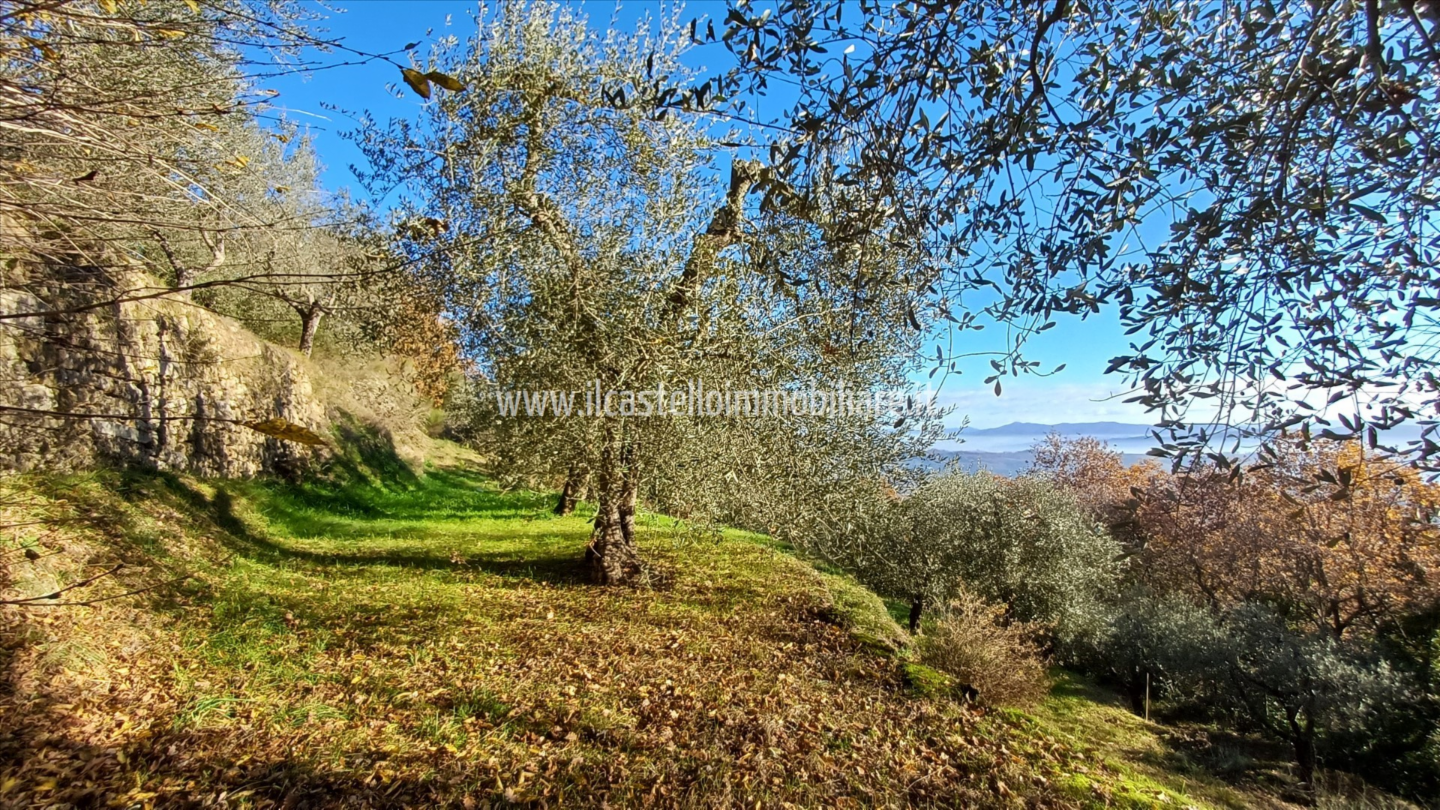 immagine annuncio 1 di 9
