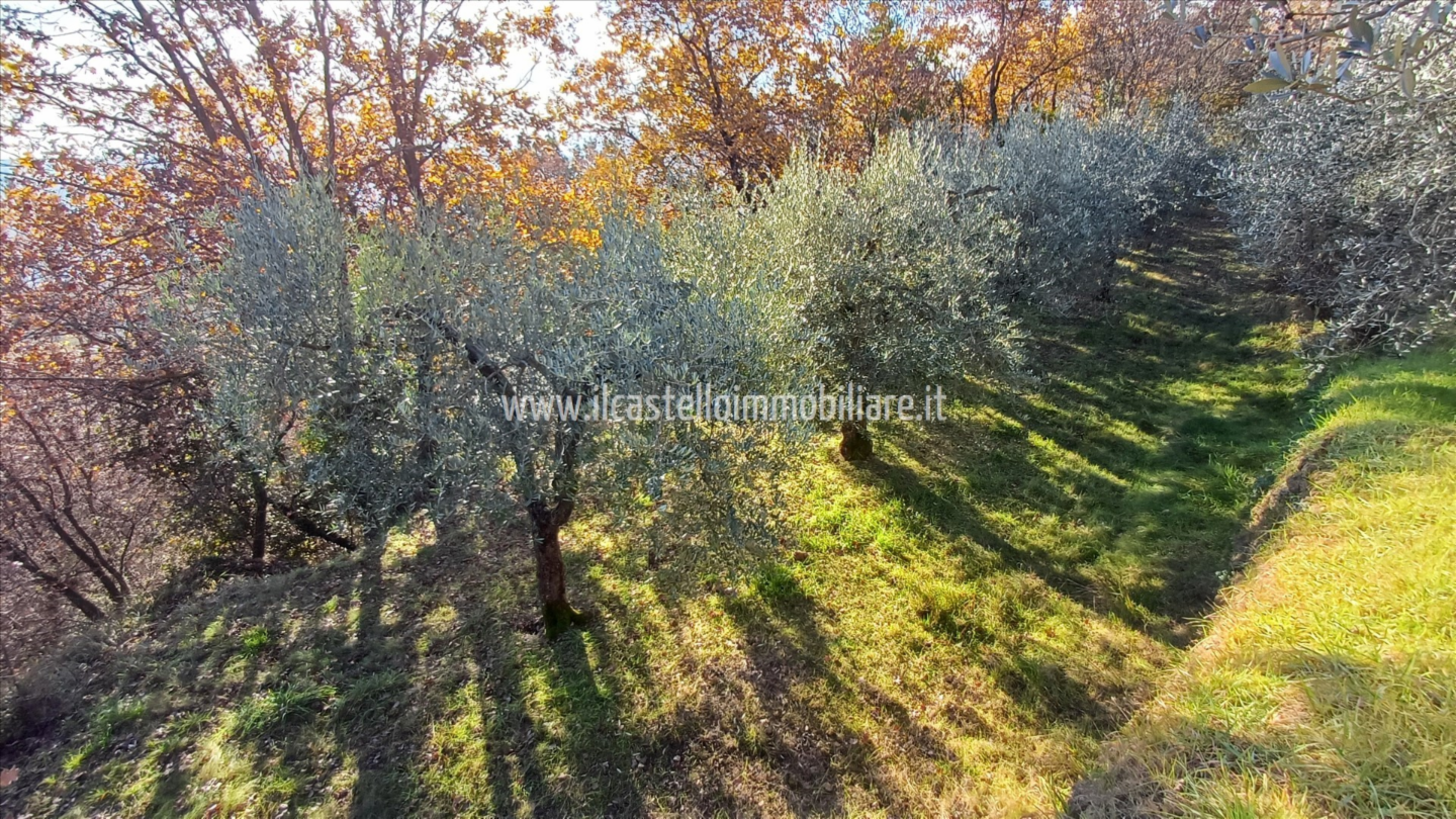 immagine annuncio 4 di 9