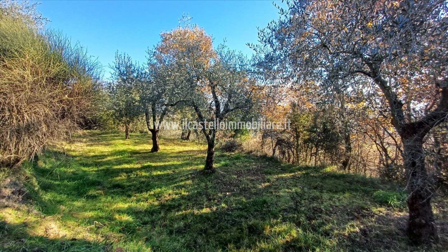 immagine annuncio 8 di 9