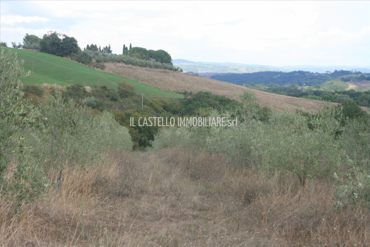 immagine annuncio 4 di 9
